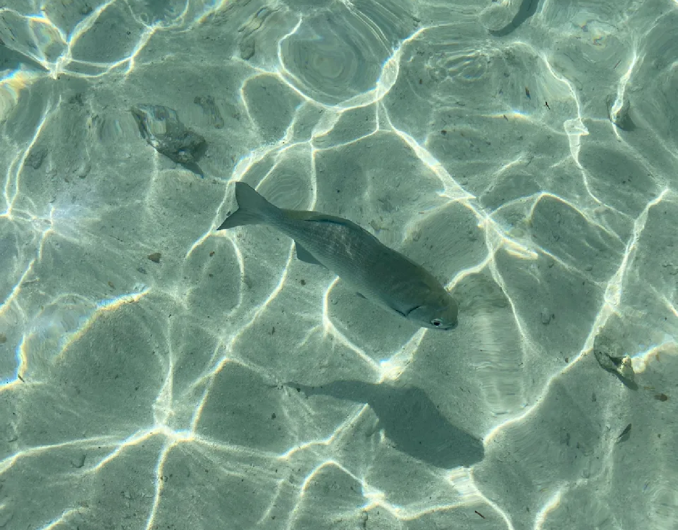 tour-acuario-san-andres